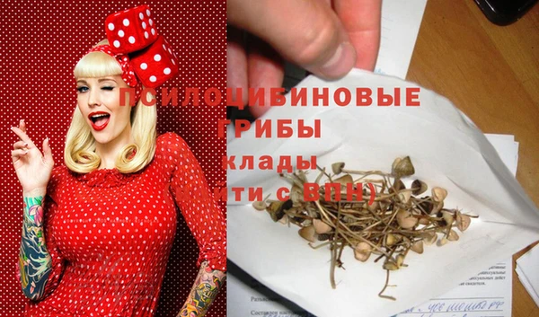 твердый Верея