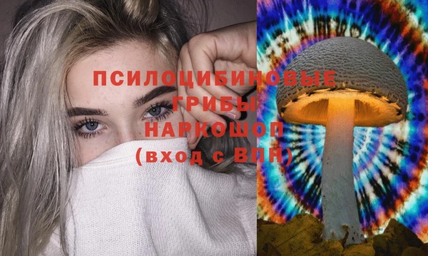 мескалин Верхний Тагил