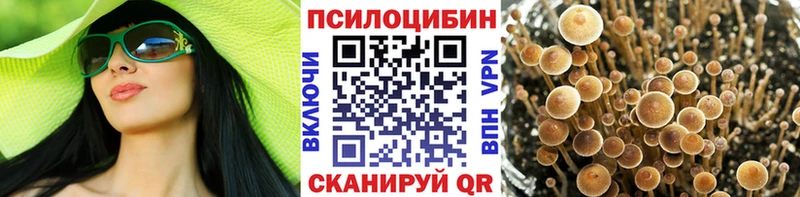 Галлюциногенные грибы ЛСД  Высоцк 